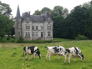 Randonnée sur le GRP Tour de la Mayenne profonde (Mayenne, Sarthe) 3