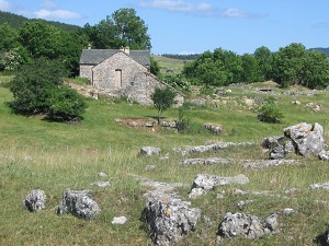 Hiking around Causse Mejean (Lozere)