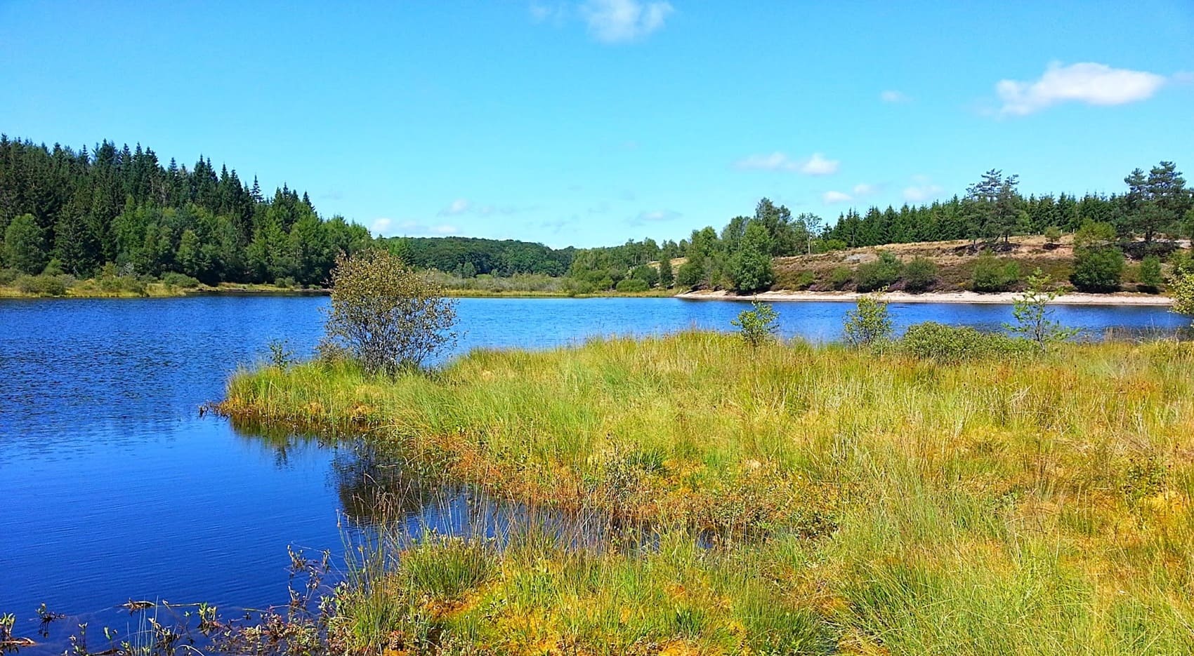 Tour du plateau de Millevaches (Corrèze)