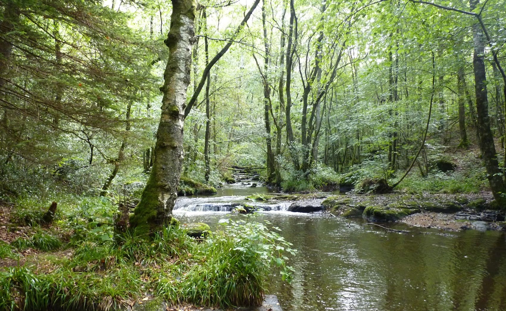 Tour of the Morvan (Nievre, Saone-et-Loire, Cote-d'Or, Yonne)