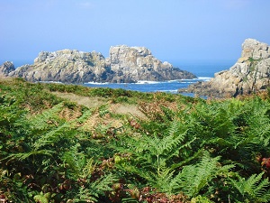 Hiking around Ouessant Island (Finistere) 6