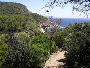 Hiking around Porquerolles Island (Var) 5