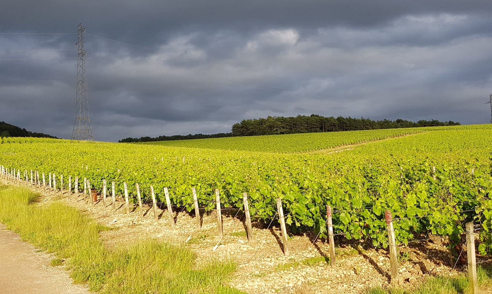 Loop around Sarce and Hozain Valley (Aube)