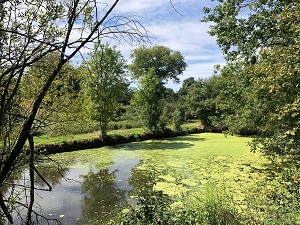 Hiking around Sevre and Maine Hills (Vendee) 4