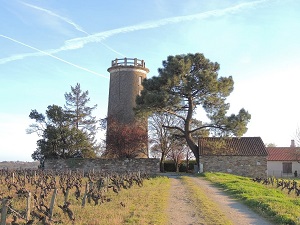 Hiking around Sevre and Maine vineyards (Loire-Atlantique, Vendee) 4