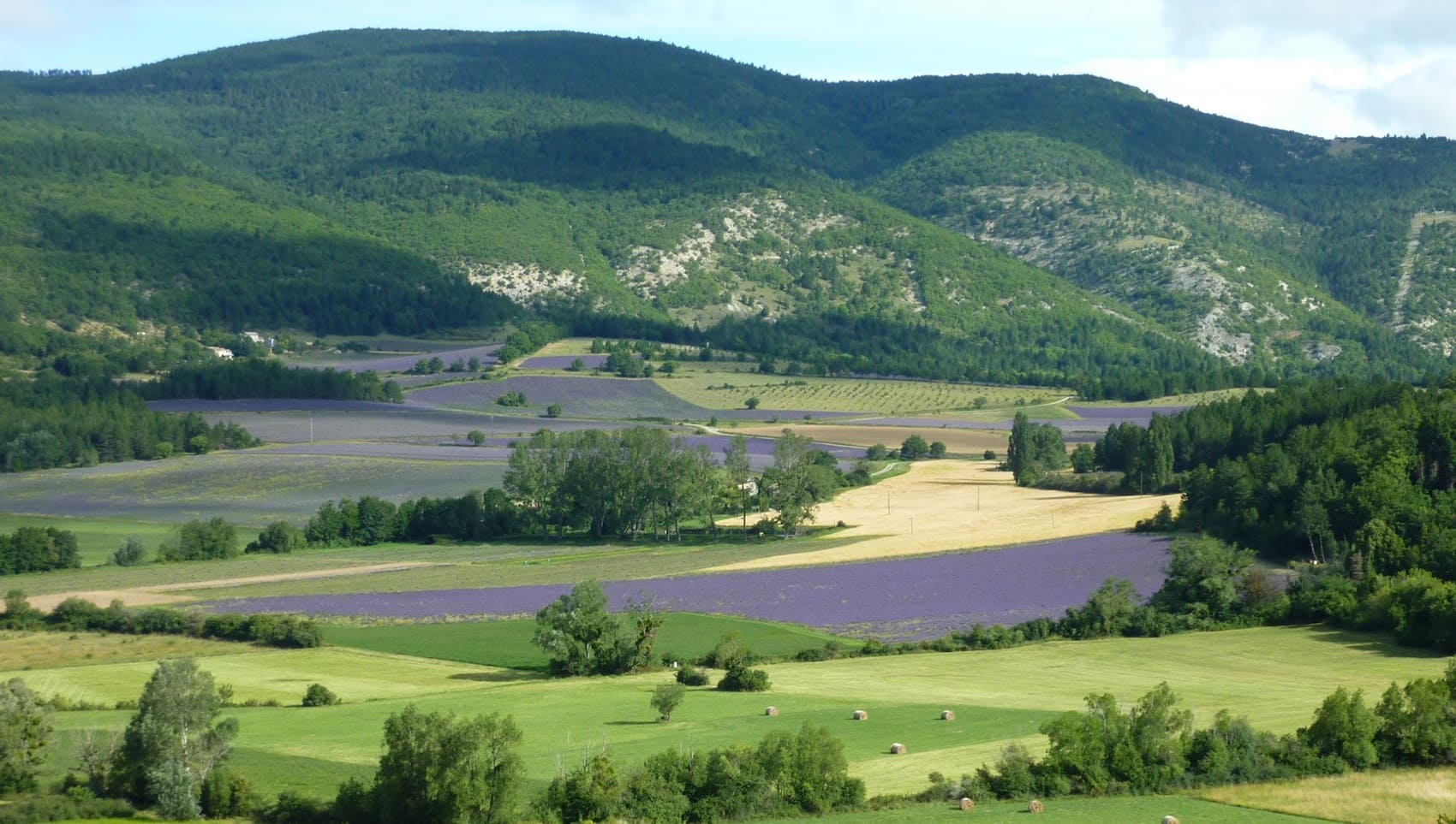 Tour du Mont Ventoux par le sommet (Drôme, Vaucluse)