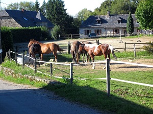 Randonnée sur le GRP Tour de la Xaintrie Noire (Corrèze) 5