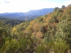 Randonnée de 10,7km à Aujac dans le Gard 3