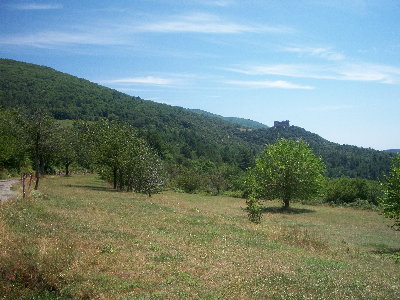 Cevennes