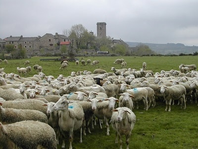 Het middeleeuwse dorp La Garde Guérin in Lozère