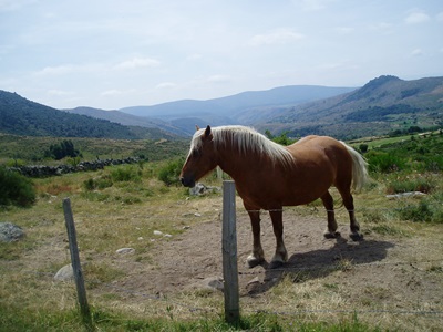 Mont Lozère