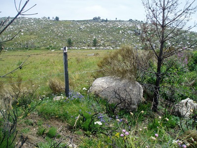 Wandeling in het Nationaal Park van de Cevennes