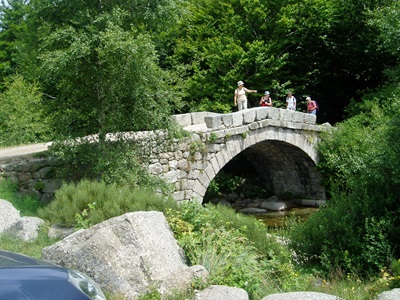 Pont du Tarn