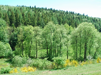 19 Randonnée dans les Cévennes par la Lozère et l'Ardèche