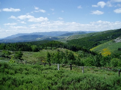 Cevennes